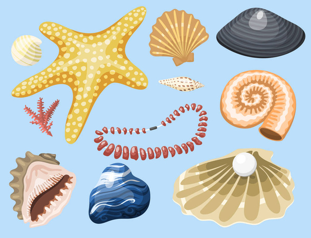 Sea marine animals and shells souvenirs cartoon vector illustration spiral tropical mollusk mussel decoration - Vettoriali, immagini