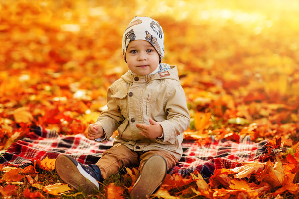 little boy walks in autumn park - Foto, Imagem