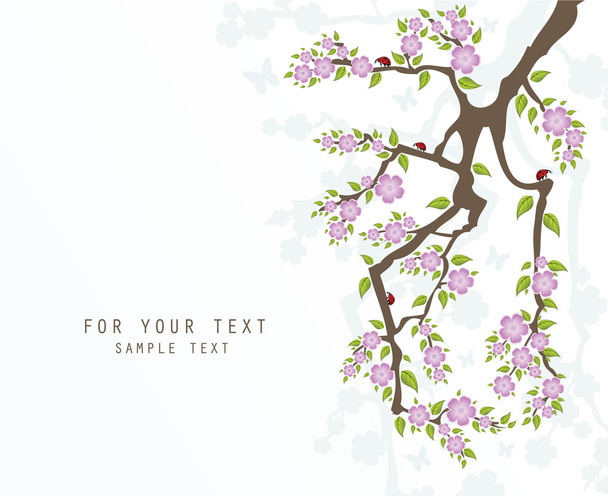 桜の枝と抽象的な背景 - ベクター画像