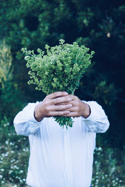 Man is holding a bouquet or oregano - Photo, Image