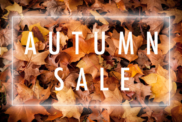 Herbstverkauf-Plakat für den Einzelhandel - Foto, Bild