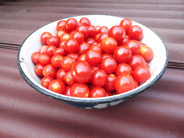 Small red and yellow tomatoes in the dishes. Young tomatoes in a cup. - Foto, immagini