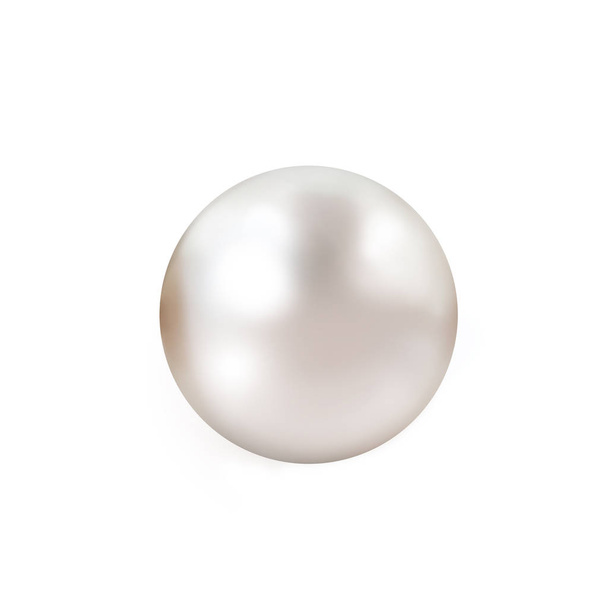 Rosa pallido perla isolata su bianco
 - Foto, immagini