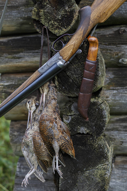 Double-barrel gun and hunting trophy. - Fotó, kép