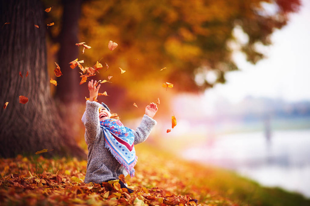 adorable happy baby girl throwing the fallen leaves up, playing in the autumn park - Foto, Imagen