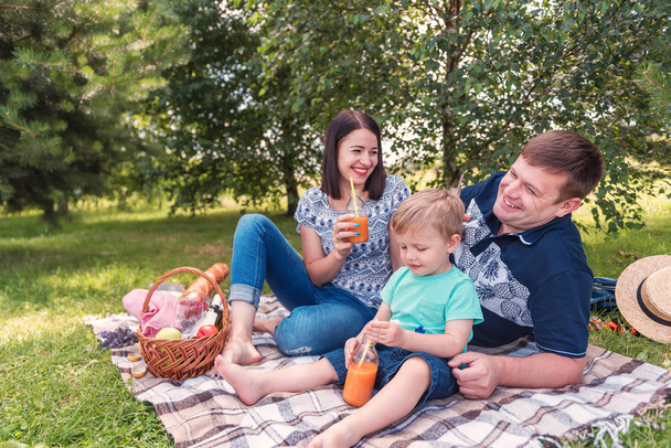 Happy family on picnic - 写真・画像