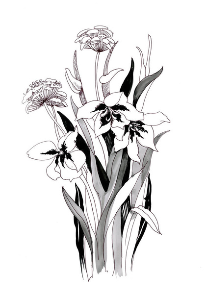 Hand drawn black and white flowers - Фото, изображение