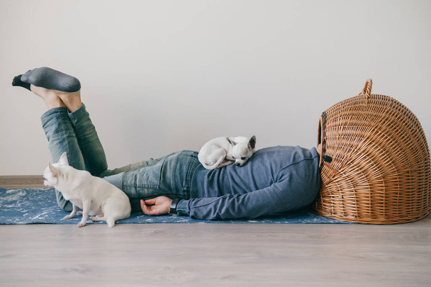 Unknown male lying on yoga mat. Head in wicker doghouse. Man in fashionable clothing. Weird odd bizarre strange unusual headless guy. Little mexican chihuahua puppies sleeping at home. Homeless dogs. - Φωτογραφία, εικόνα