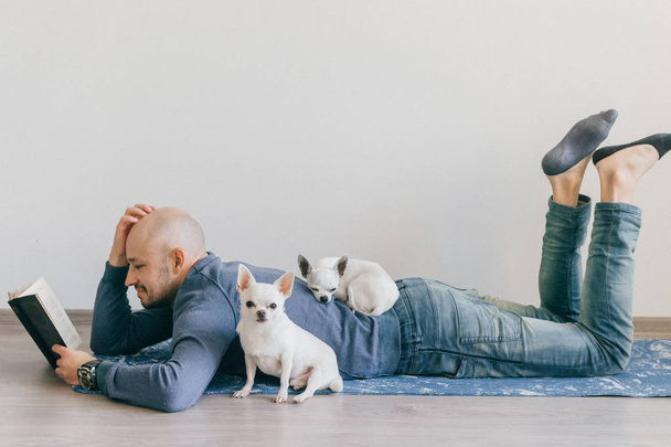 Adult bald man in fashionable clothing lying on yoga mat. Young guy reading book. Two white male chihuahua puppies at home. Pet sleeping with owner. Little lovely furry dog sitting on wooden floor. - Zdjęcie, obraz