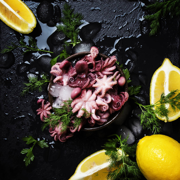 Small cooked octopus   - Foto, afbeelding