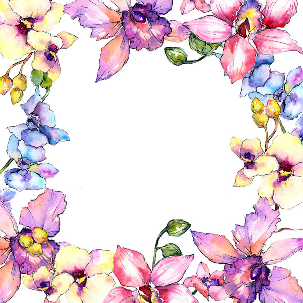 Wildflower orchid flower frame in a watercolor style. - Foto, Imagem