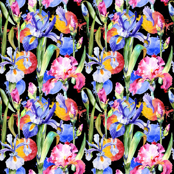Wildflower iris flower pattern in a watercolor style. - Fotoğraf, Görsel