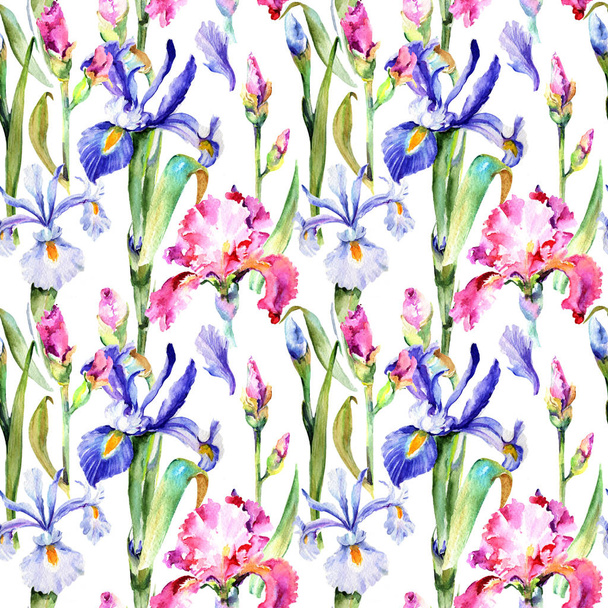 Wildflower iris flower pattern in a watercolor style. - Fotografie, Obrázek
