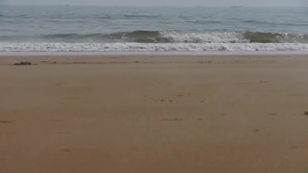 Oceaan golven op het gouden strand. - Video
