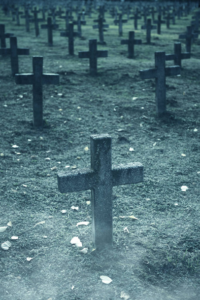 muchas lápidas en el cementerio
 - Foto, Imagen