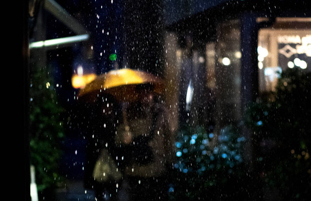 Sateinen yö seepra risteily ihmisiä sateenvarjo
 - Valokuva, kuva