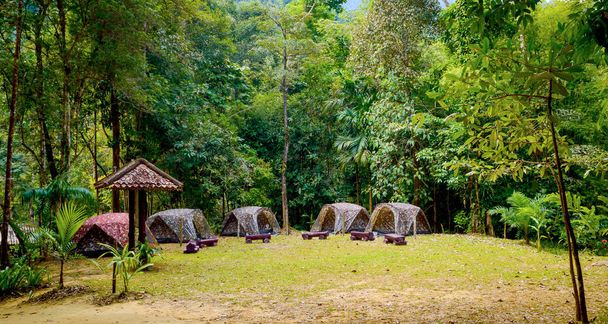 Камуфляж туристических палаток в лесу в кемпинге
 - Фото, изображение