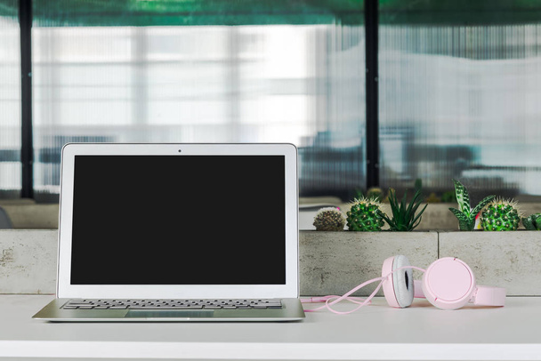 Werkplek in het moderne kantoor. Een laptop met hoofdtelefoon is op een tabel met planten. - Foto, afbeelding