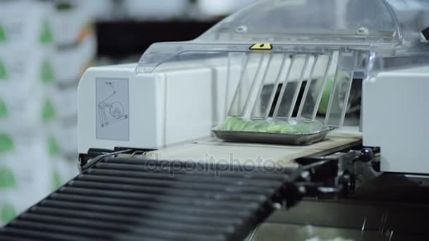 Zöld uborka a sík üveglemezből mozog a futószalagon műhelyben. - Felvétel, videó