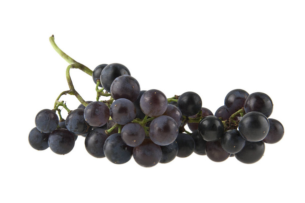 blue grapes isolated on white background - Foto, afbeelding