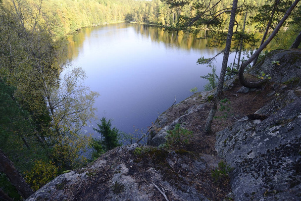 vista desde arriba en un lago del bosque
 - Foto, imagen
