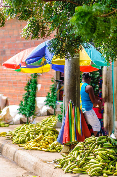 Banán utcai piacon Cartagena - Kolumbia - Fotó, kép