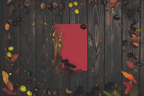 autumn leaves and blank card - Foto, Imagem