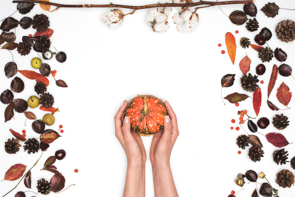 ripe pumpkin in hands - Photo, Image