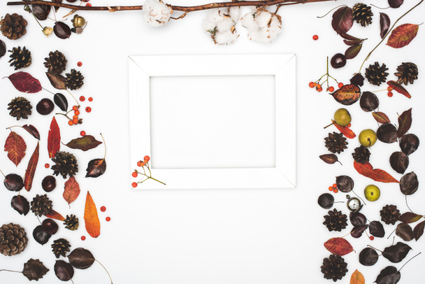 dried leaves and frame  - Photo, Image