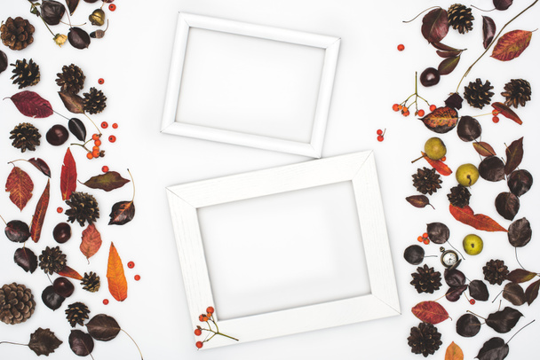gedroogde bladeren en frames  - Foto, afbeelding