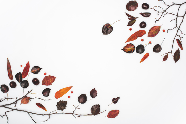 dried autumn leaves and chestnuts - Fotografie, Obrázek