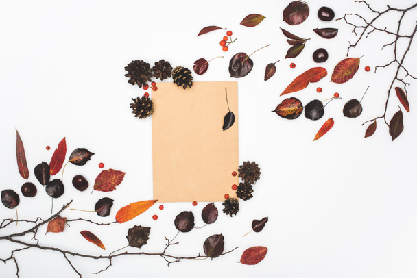 αποξηραμένα φύλλα και κενή κάρτα - Φωτογραφία, εικόνα