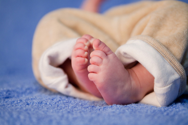 Child's feet - Foto, Imagen