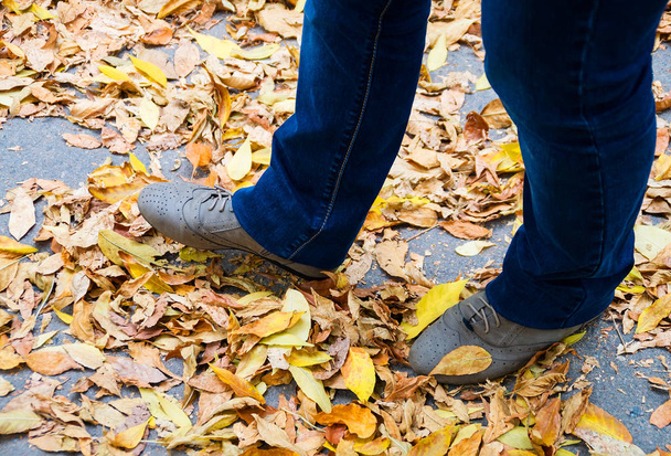 Legs on autumn yellow fallen leaves - Foto, Bild