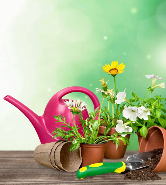Flower Pot and gardening utensils - Fotoğraf, Görsel