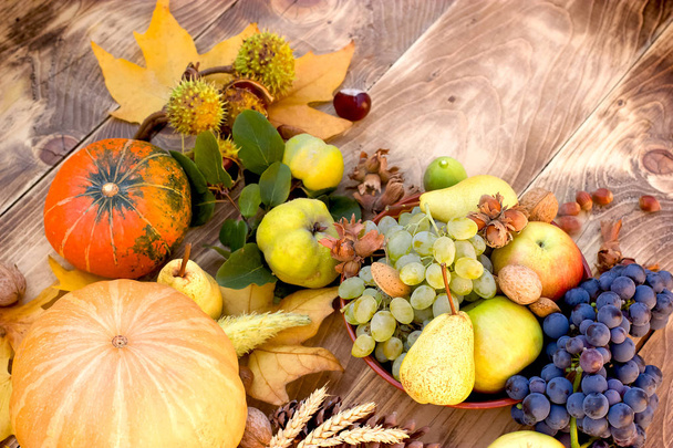 saisonales biologisches Obst und Gemüse - reiche Herbsternte - Foto, Bild