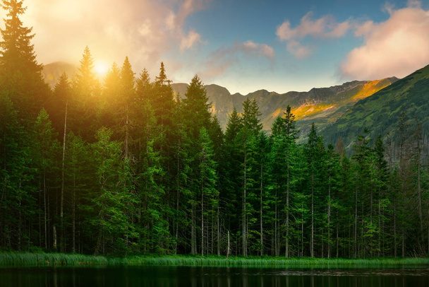 Wschód Słońca w Tatra mountain National Park. Smreczynski staw - Zdjęcie, obraz