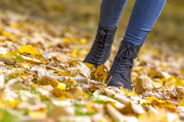 female legs in boots on autumn leaves - Fotoğraf, Görsel