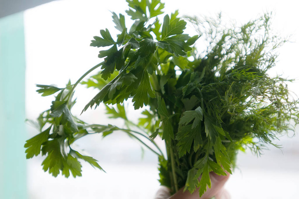 Dill and parsley on white - Foto, Imagem