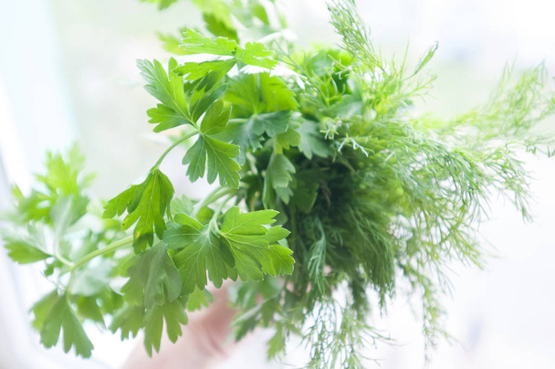 Dill and parsley on white - Foto, Bild