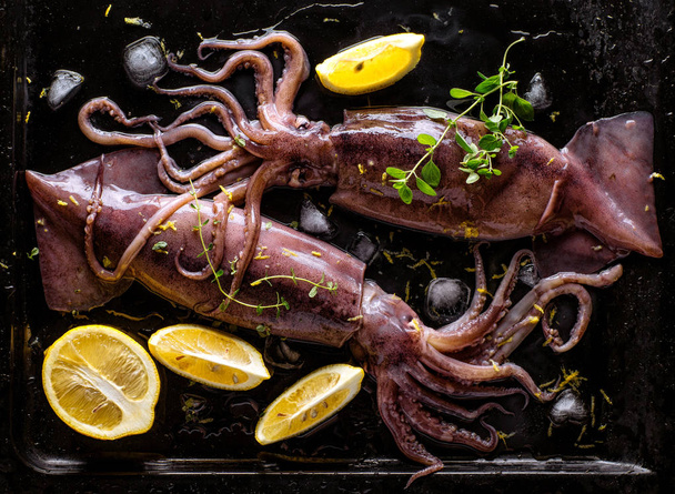 Čerstvé chobotnice na tmavém pozadí - Fotografie, Obrázek