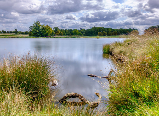 イギリスの田舎の池 - 写真・画像