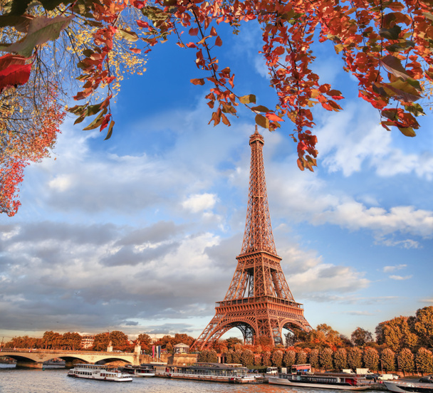Эйфелева башня с осенними листьями в Париже, Франция - Фото, изображение