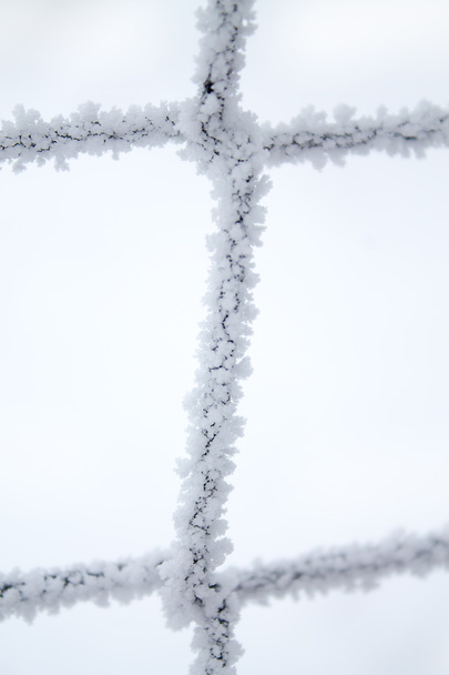 Nieve en la rejilla
 - Foto, Imagen