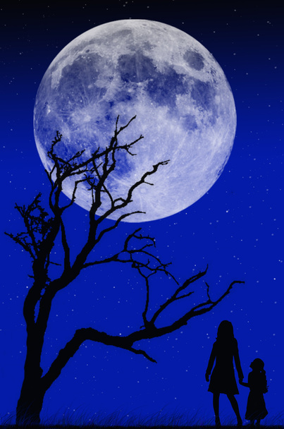 Moonlight Shadow - Vector, afbeelding