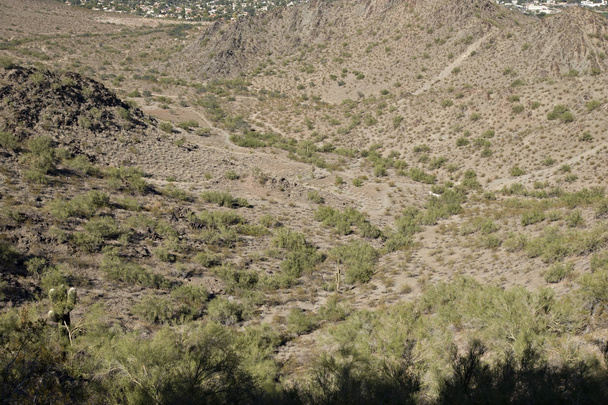 Phoenix, északi oldalán, Az - Fotó, kép