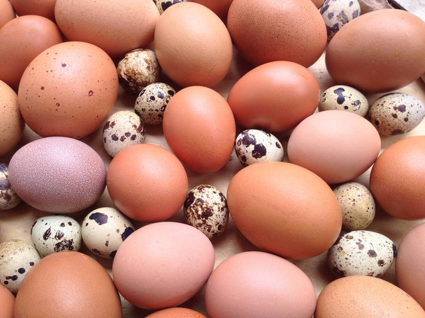 Chicken eggs and Quail eggs - Photo, Image