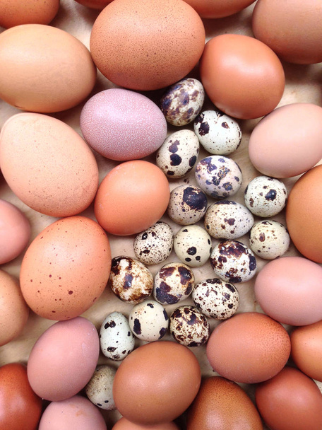 slepičí vejce a křepelčí vejce - Fotografie, Obrázek