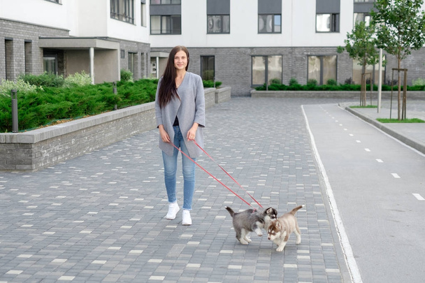 Portrait of happy female strolling with her pet at leisure - Foto, afbeelding