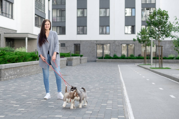 Portrait of happy female strolling with her pet at leisure with copy space - 写真・画像